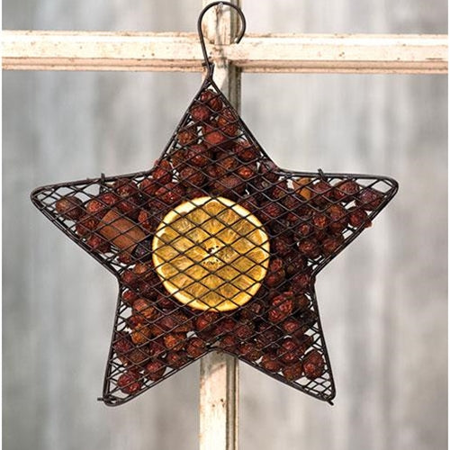 Wire Mesh Star w/ Orange Potpourri 9" (Pack of 2)