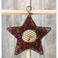 Wire Mesh Star w/ Apple Potpourri 9" (Pack of 2)