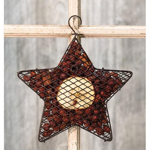 Wire Mesh Star w/ Apple Potpourri 9" (Pack of 2)