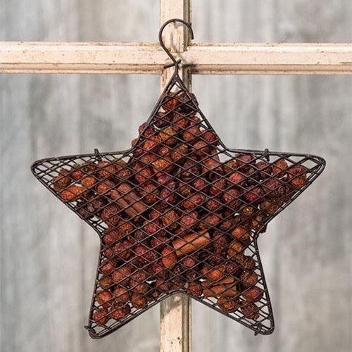 Wire Mesh Star w/Cinnamon Potpourri 9" (Pack of 2)