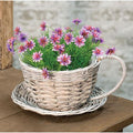 Gray Willow Cup & Saucer (Pack of 2)