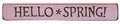 Hello Spring Engraved Block 12" (Pack of 4)