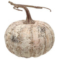 White Birch Pumpkin 6" (Pack of 2)
