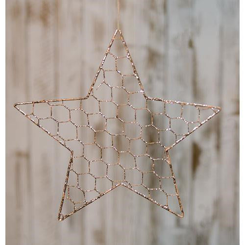 Wire Star Ornament 10"  (Pack of 4)