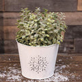 Metal Snowflake Embossed Bucket (Pack of 4)