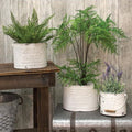 3/Set White Farmer's Market Buckets