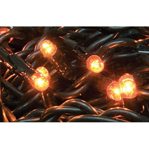 Orange Teeny Lights 20 Count  (Pack of 4)