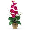 Single Stem Phalaenopsis Silk Orchid Arrangement