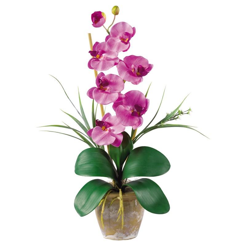 Single Stem Phalaenopsis Silk Orchid Arrangement