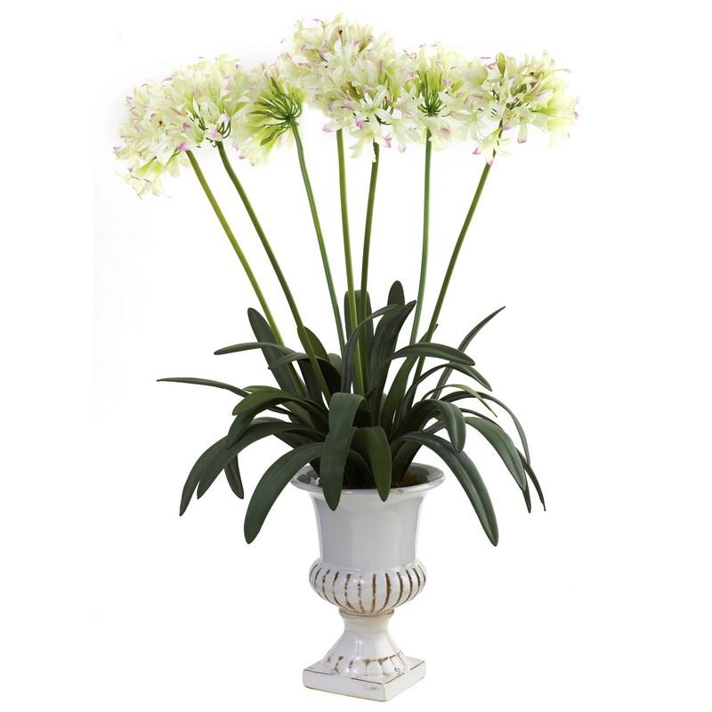African Lily w/Urn