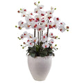 Phalaenopsis Orchid with White Planter