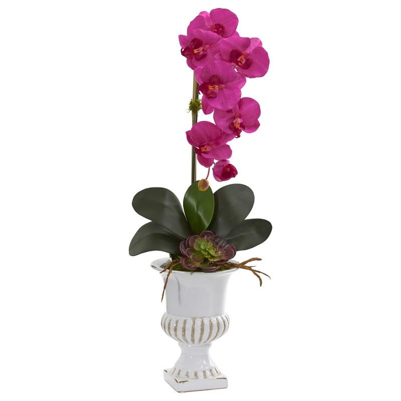 Phalaenopsis Orchid and Succulent Artificial Arrangement in Urn