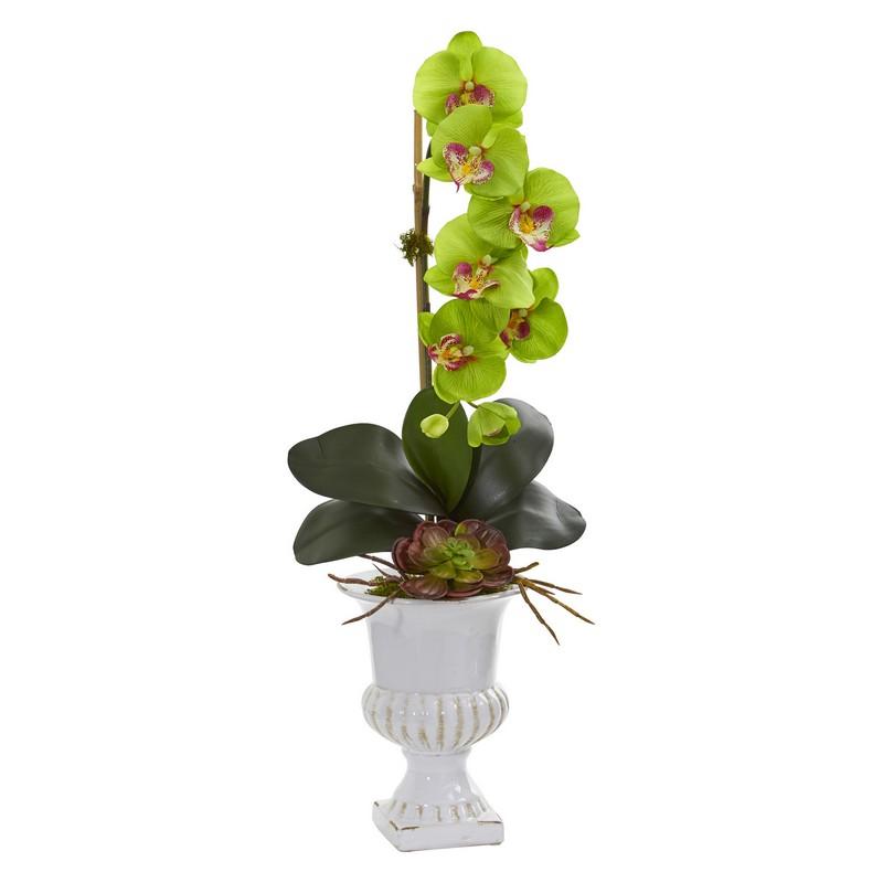 Phalaenopsis Orchid and Succulent Artificial Arrangement in Urn