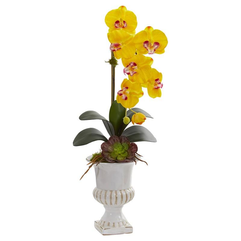 Phalaenopsis Orchid and Succulent Artificial Arrangement in Urn