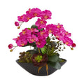 Phalaenopsis Orchid and Mixed Succulent Garden Artificial Arrangement in Black Vase