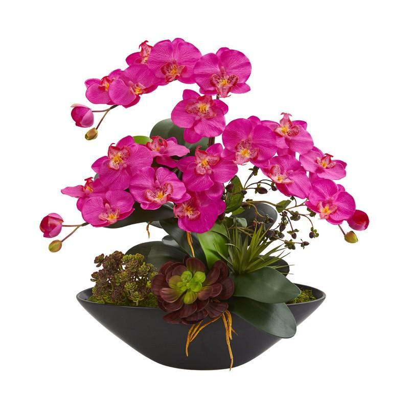 Phalaenopsis Orchid and Mixed Succulent Garden Artificial Arrangement in Black Vase