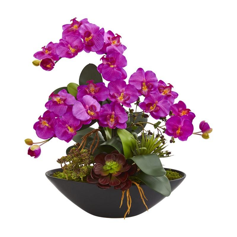 Phalaenopsis Orchid and Mixed Succulent Garden Artificial Arrangement in Black Vase