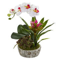 Orchid, Bromeliad and Succulent Artificial Arrangement in Planter