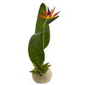 23" Bird of Paradise and Succulent Artificial Arrangement