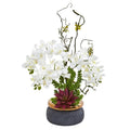 Phalaenopsis Orchid and Succulent Artificial Arrangement