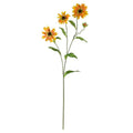 28.5" Cosmo Stem (Set of 12)