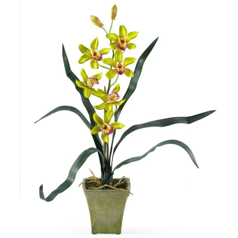 Cymbidium Orchid w/Vase (Set of 3)