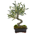 Mini Olive Artificial Bonsai Tree