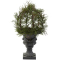 30" Pond Cypress Topiary w/Urn (Indoor/OutDoor)