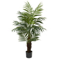 4'Areca Palm Tree