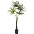7'Fan Palm Tree UV Resistant (Indoor/Outdoor)