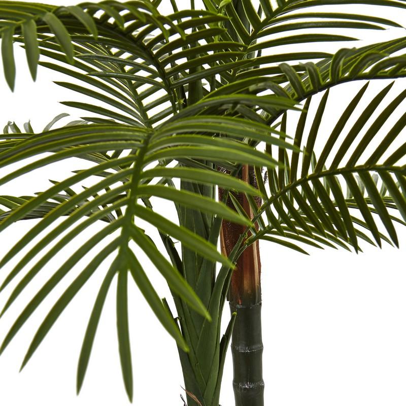 5.5'Double Robellini Palm Tree UV Resistant (Indoor/Outdoor)