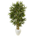 5.5'Bamboo Tree in White Oval Planter