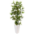 4.5'Bamboo Tree in White Tower Planter