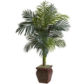 4.5'Golden Cane Palm w/Decorative Container