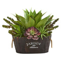 Succulent Garden in Wood Planter