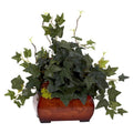 Puff Ivy w/Chest Silk Plant