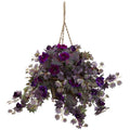 Morning Glory Hanging Basket