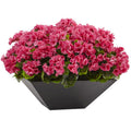 Geranium with Black Planter UV Resistant (Indoor/Outdoor)