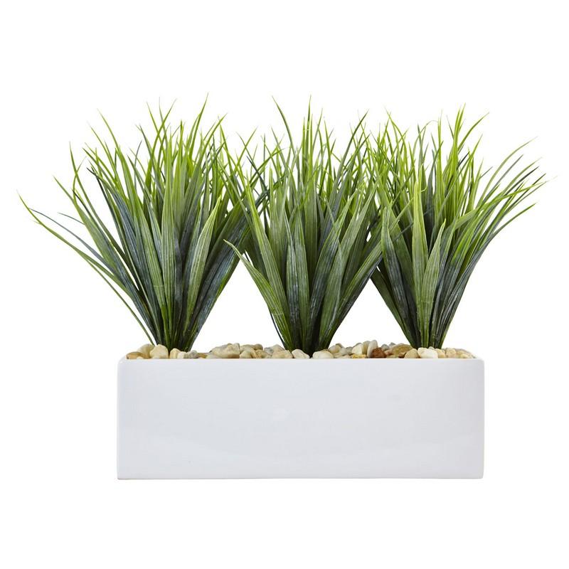 Vanilla Grass in Rectangular Planter