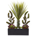 Succulent Garden in Rectangular Planter