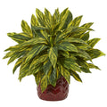 Tradescantia Artificial Plant in Red Vase