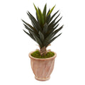 Agave Artificial Plant in Terra Cotta Planter