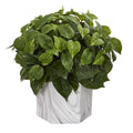 Pothos Artificial Plant in Marble Finished Vase
