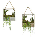 Succulent Garden Artificial Plant in Decorative Hanging Frame (Set of 2)