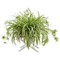 35" Spider Artificial Plant in Drawer Stand Planter