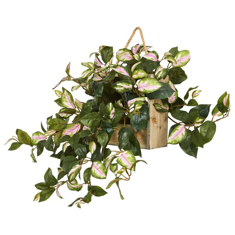 24" Hoya Artificial Plant in Decorative Hanging Frame