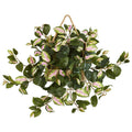 24" Hoya Artificial Plant in Decorative Hanging Frame