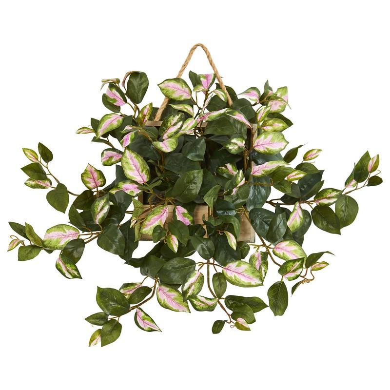 24" Hoya Artificial Plant in Decorative Hanging Frame