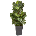 53" Maranta Artificial Plant in Slate Finished Planter