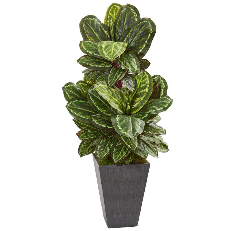 53" Maranta Artificial Plant in Slate Finished Planter
